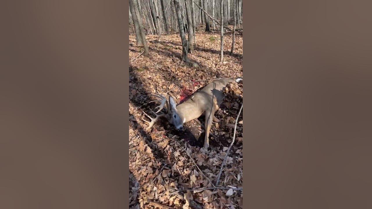 big-buck-shot-in-haliburton-ontario-2022-youtube