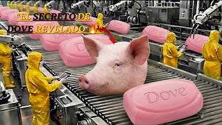 Cómo se Fabrica Dove en una Mega Fábrica 🧼 | Proceso Completo de Producción Paso a Paso