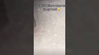 did you wash yo ass today