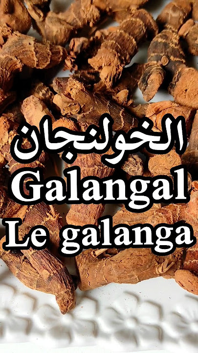 أهم فوائد الخولنجان الصحية/Galangal benefits/Les bienfaits du Galanga#shorts