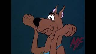 Celebrity Scooby Doo!   Scaredy Cats Scooby & Shaggy 1080pE3 Net Worth