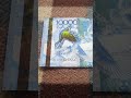 БАНКНОТА 10 000 ТЕНГЕ № серии ЕЖ9562002 на байковой поверхности 5-ого Мая - ДЕНЕЖНЫЙ ПОТОК