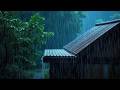 Powerful Thunderstorm White Noise | Heavy Rain on Roof for Deep Sleep (Black Screen)