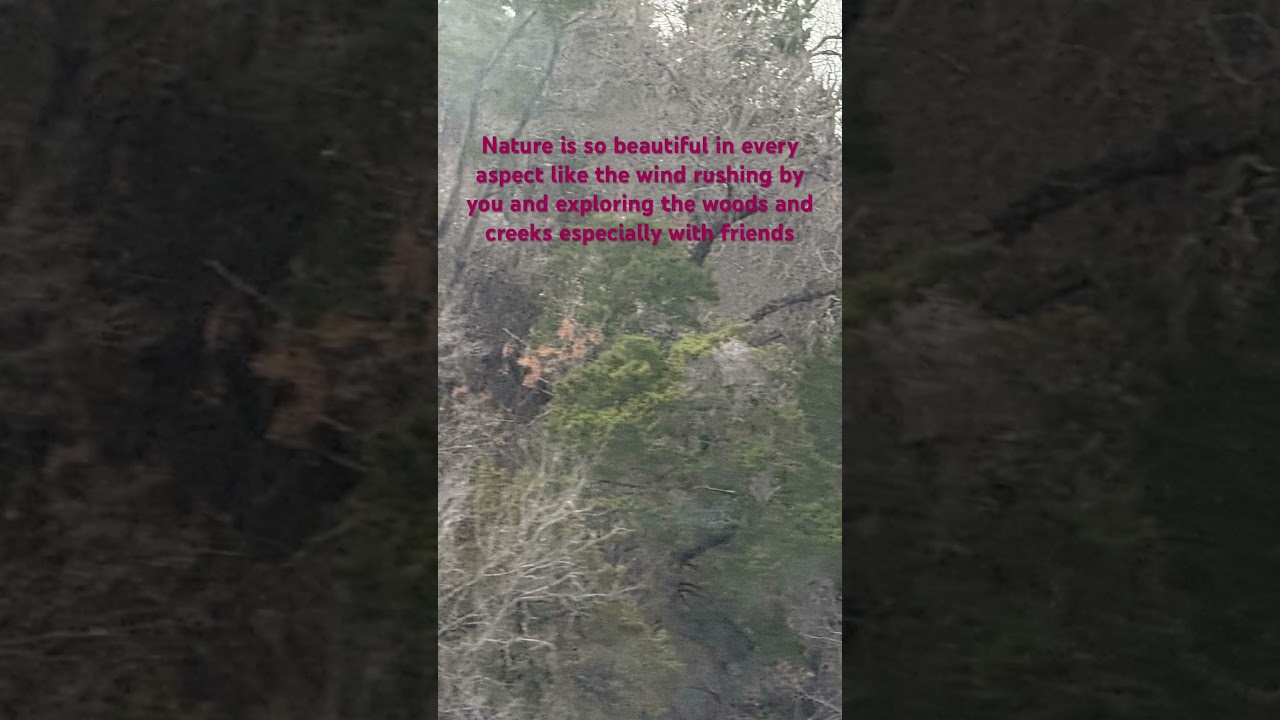 Nature sure is beautiful