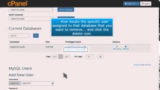 How to remove a user from a  MySQL Database in cPanel
