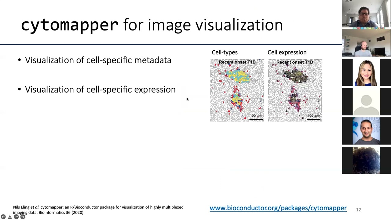 Visualization and Analysis of Highly Multiplexed Imaging Data