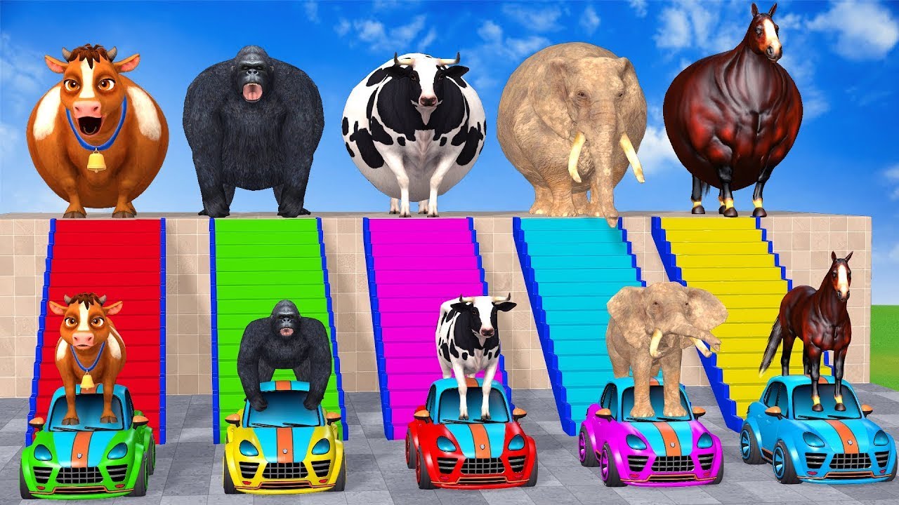 Long Slide Game with Cow Elephant Gorilla Hippopotamus Tiger 3d Animal Game Funny 3d Animals