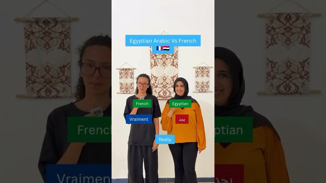 Egyptian Arabic Vs French