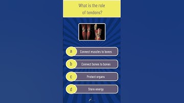 AQA GCSE PE Revision Course: Multiple Choice