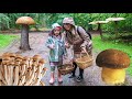 Paulina (5 Jahre) findet ganz viele Pilze 🍄 Pilze Sammeln für Kinder