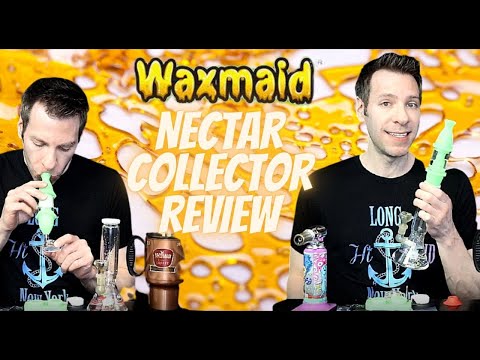 Waxmaid  Capsule Silicone Glass Nectar Collector