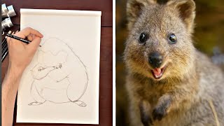 The Australian Quokka Was ALWAYS Happy... UNTIL Now | Drawing the World