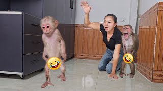 So funny! Monkey Su secretly escaped because lazy not want to take bath
