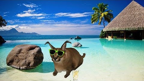 How to get meteorite in Roblox raise a Floppa