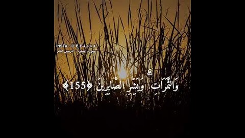 🎧 تلاوة رائعة للقارئ / ادريس ابكر ....