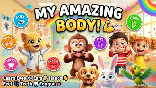 The Amazing Body Parts Song | Learn Body Parts