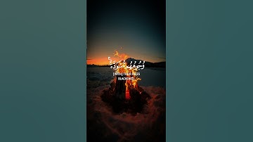 سورة الزمر - عبدالبديع غيلان