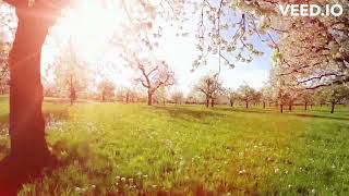 2023 Spring Radio Ad