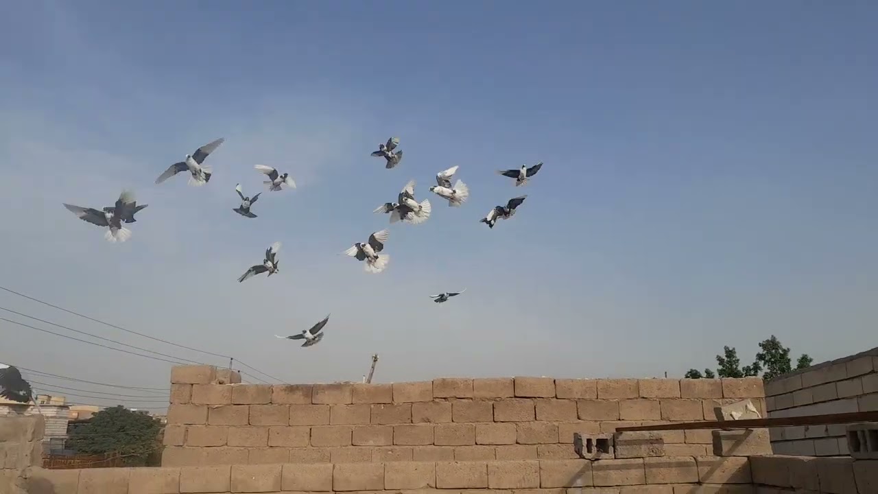 فديو بعد غياب طويل 😉