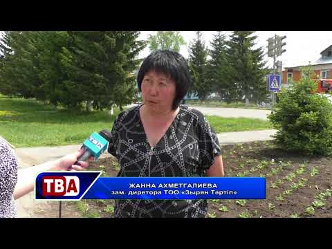 24 часа 28 05 2018 Озеленение города