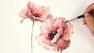 Watercolor Painting | Red Poppy