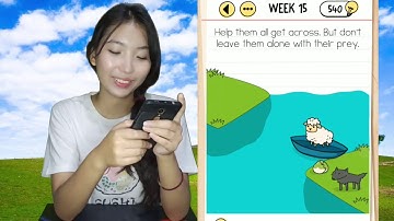 Brain Test Week 15 Walkthrough