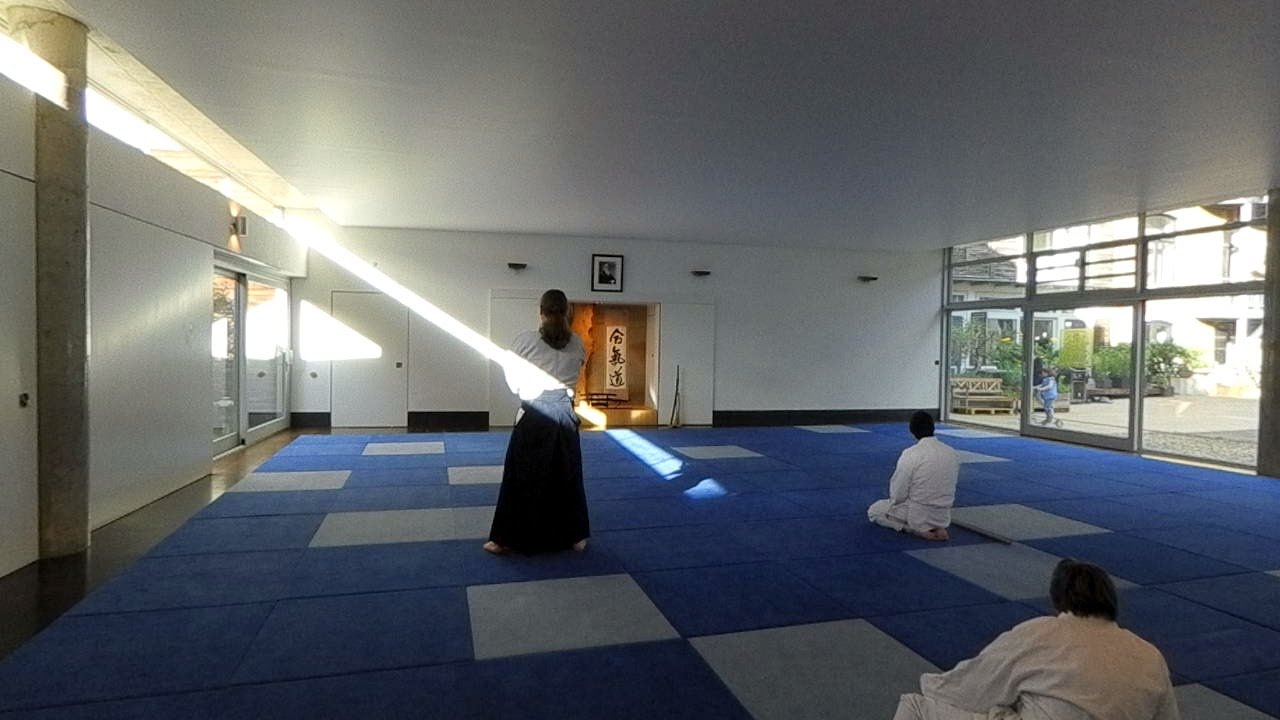 aikiken&kenjutsu online training #12