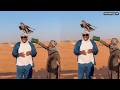Babalevo Huu Utoto Wa Kulipia Kupiga Picha Na Huyu Ndege Dubai Niliukataa Miaka Mingi Sana Lakini
