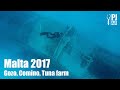 Freediving malta gozo comino tuna farm  2017