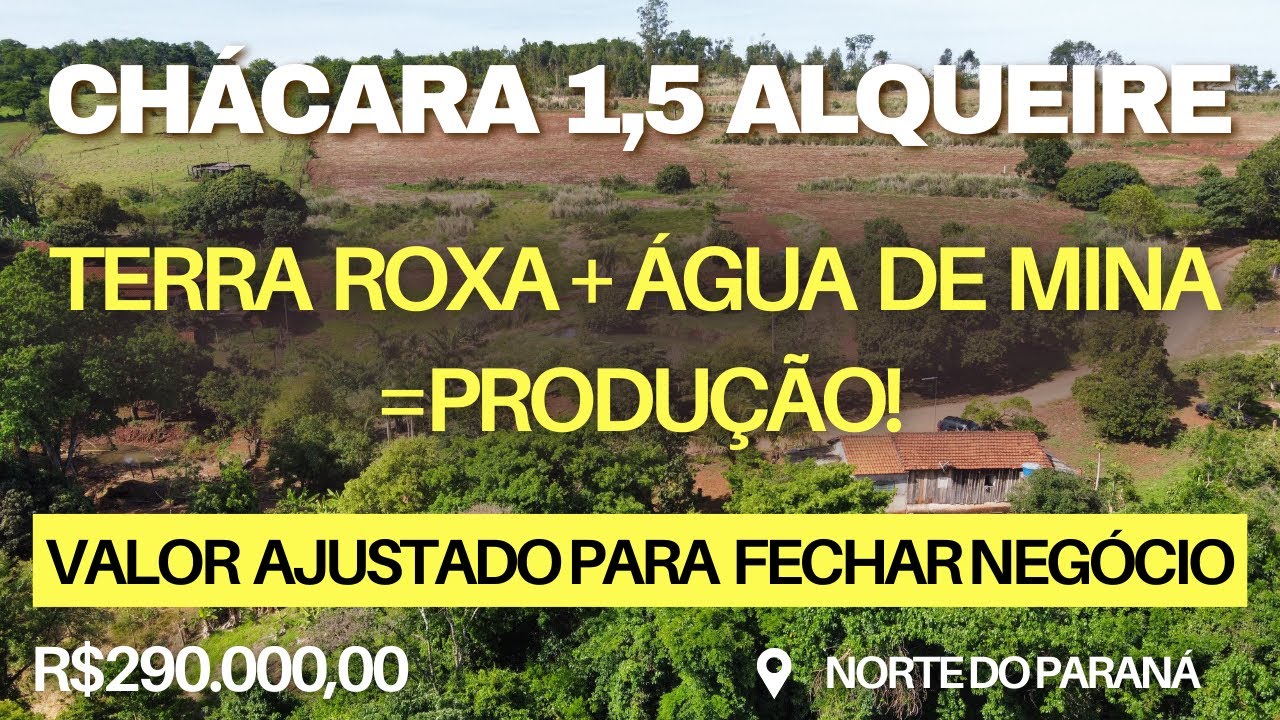CHÁCARA À VENDA COM REPRESA, TERRA ROXA, POMAR PRODUZINDO | NORTE PIONEIRO