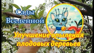 Александр Петров. Улучшение опыления плодовых деревьев