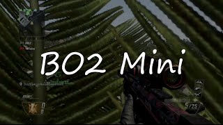 BO2 Private Match Mini #2