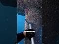 This Job’s Dirty, Dangerous—and Weirdly Satisfying