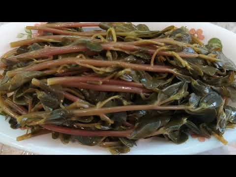Маринованный огородный портулак