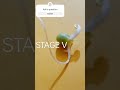Stages of seed germination in pea | #bio_youth✨ | #microscope #paddycultivation #science #paddy