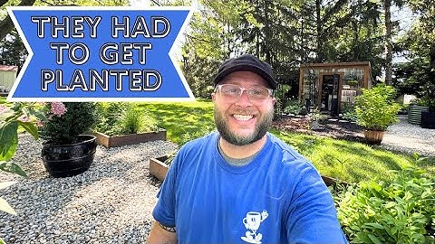 Better Late Than Never: My Last-Minute Annual Planting Marathon🌿🪏