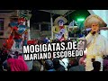 Video de Mariano Escobedo