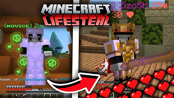 I Became the Most Strongest Player in this public Lifesteal SMP...