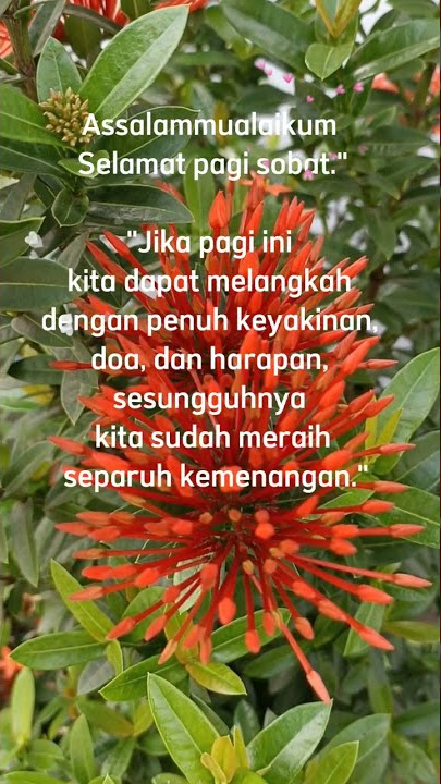 Ucapan selamat pagi islami hari ini #short