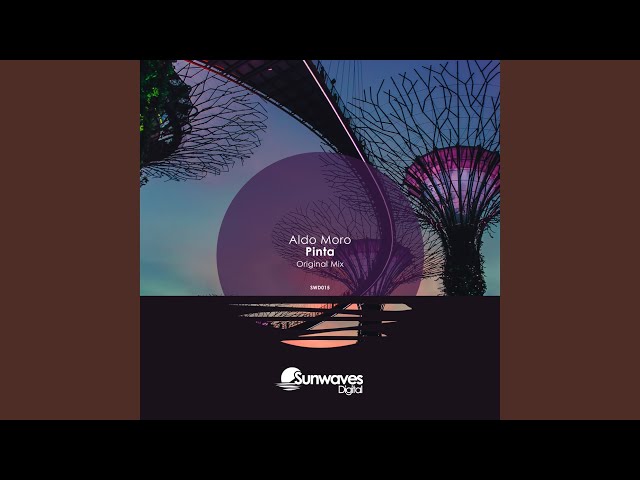 Pinta (Tom Bro Remix)