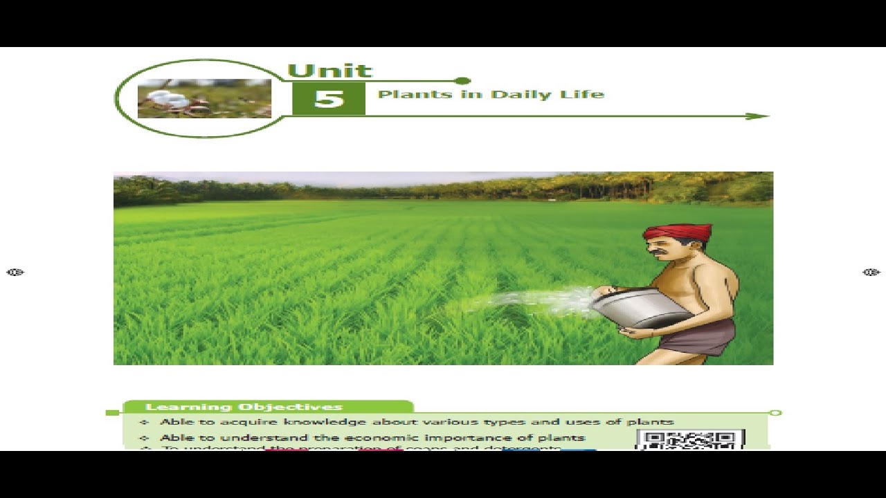 6th std | science | plants in daily life