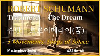 Robert Schumann - Träumerei 5 Variations Songs of Solace (432Hz 4K) screenshot 2