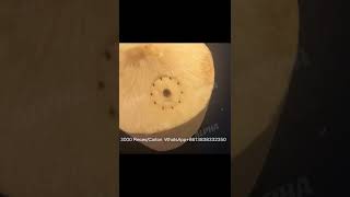 How to open new type coconut? By coconut tools opener