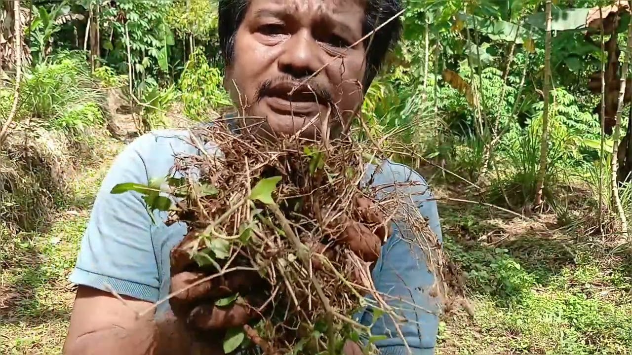 PERAWATAN WONG CILIK