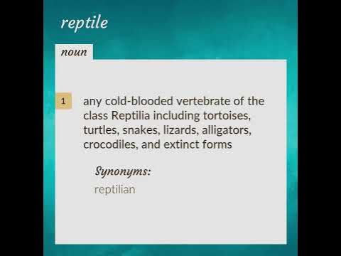 Reptile | meaning of Reptile - YouTube
