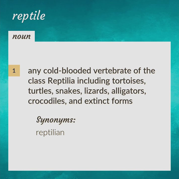 Reptile | meaning of Reptile - YouTube