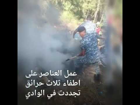 هذا ما فعله عناصر قوى السيارة والدرك في وادي دق ون قوى الامن حرائق لبنان