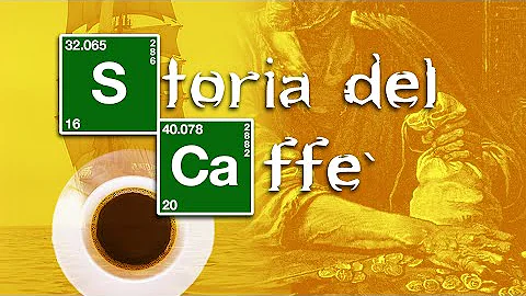 Dove nasce la pianta del caffè?