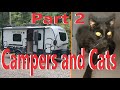 DIY Camper Mod: Creating a Hidden Cat Litter Box for RV Living (Part 2)