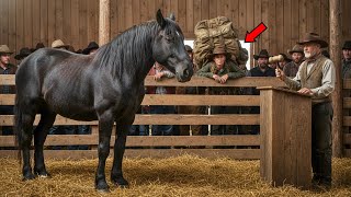 Download Lagu Mountain Woman Bought Elderly Horse for $1 — What She Found After Will Amaze You MP3